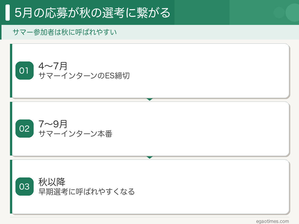 サマーインターンのES締切から夏の本番、秋の早期選考までの流れを整理した図解